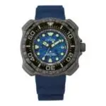 RELOJ CITIZEN